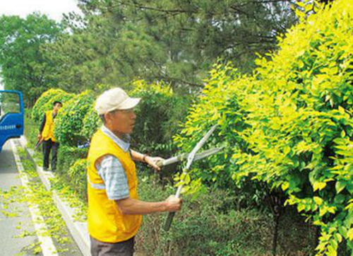 銀橫路友愛(ài)家園綠化工程