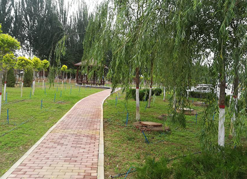 興慶區(qū)燕慶街及大新渠兩側(cè)綠化整治工程